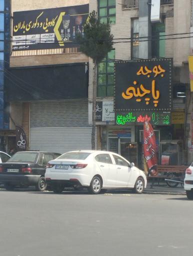 عکس جوجه پاچینی