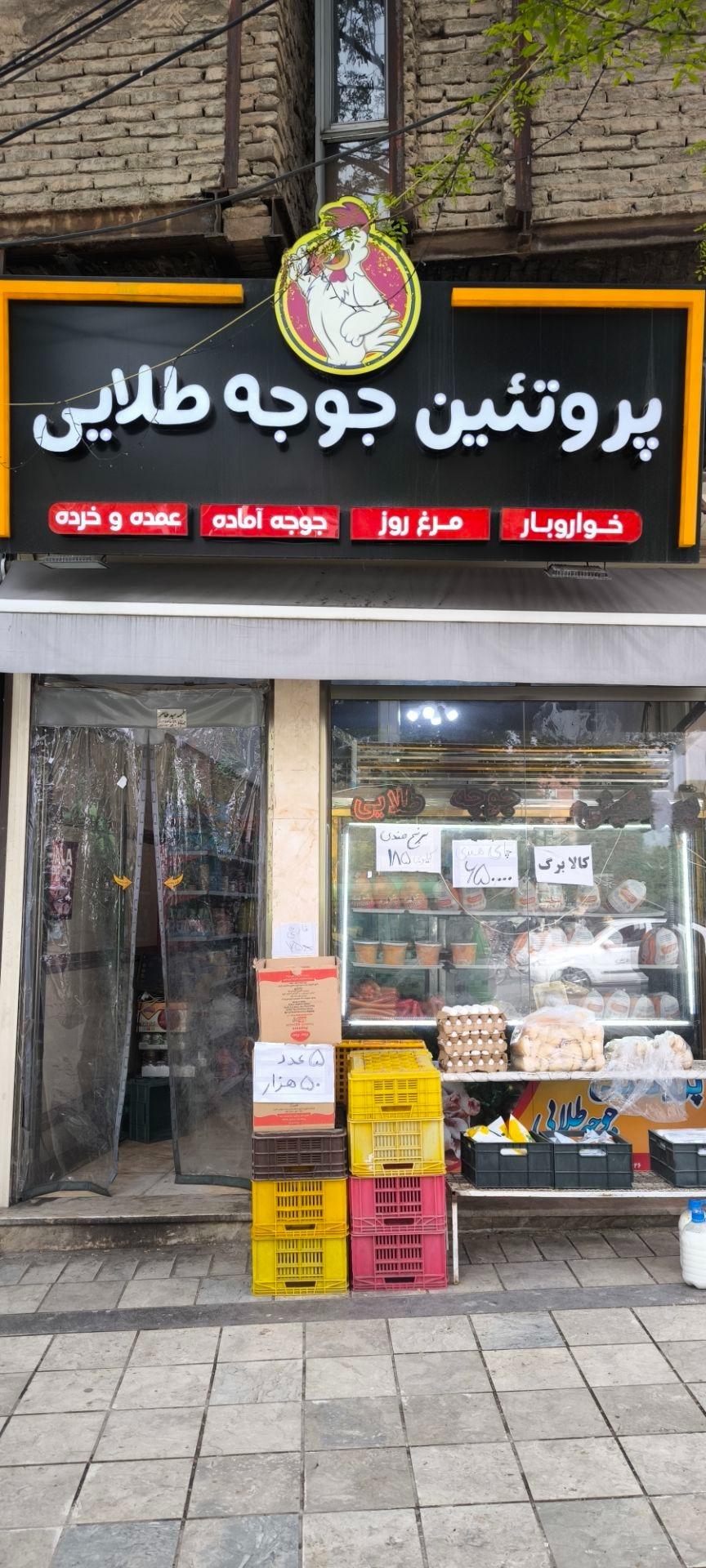 عکس پروتئین جوجه طلایی