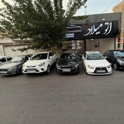 عکس اتو گالری میلاد یزدانی