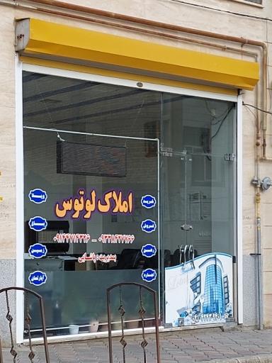 املاک لوتوس 