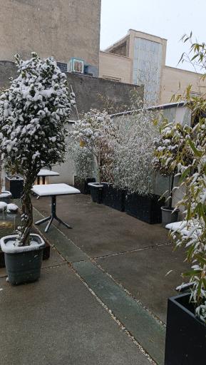 عکس پیتزا سیب ۳۶۰