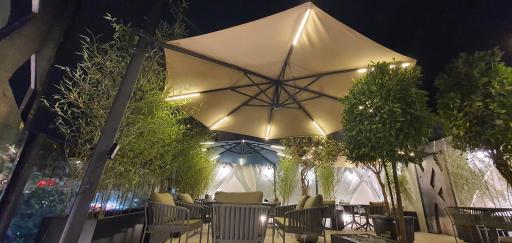 عکس پیتزا سیب ۳۶۰