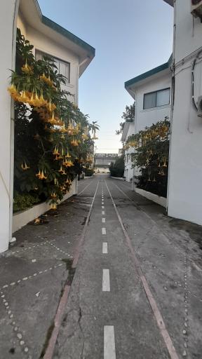 عکس هتل آپارتمان دلفین