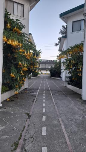 عکس هتل آپارتمان دلفین