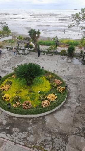 هتل آپارتمان دلفین