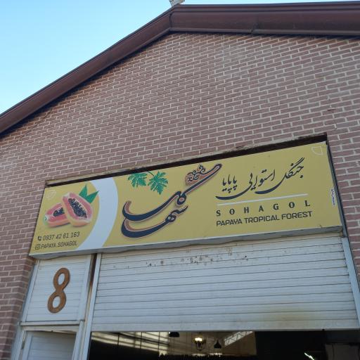 عکس جنگل استوایی پاپایا