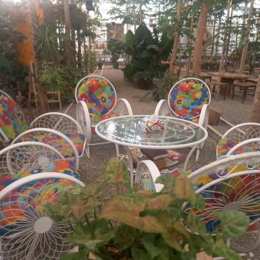 عکس جنگل استوایی پاپایا