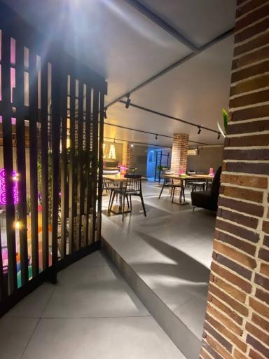 عکس پیتزا سیب ۳۶۰