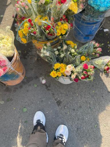 عکس بازار گل امام رضا