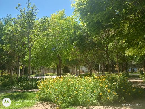 عکس پارک استاد شهریار