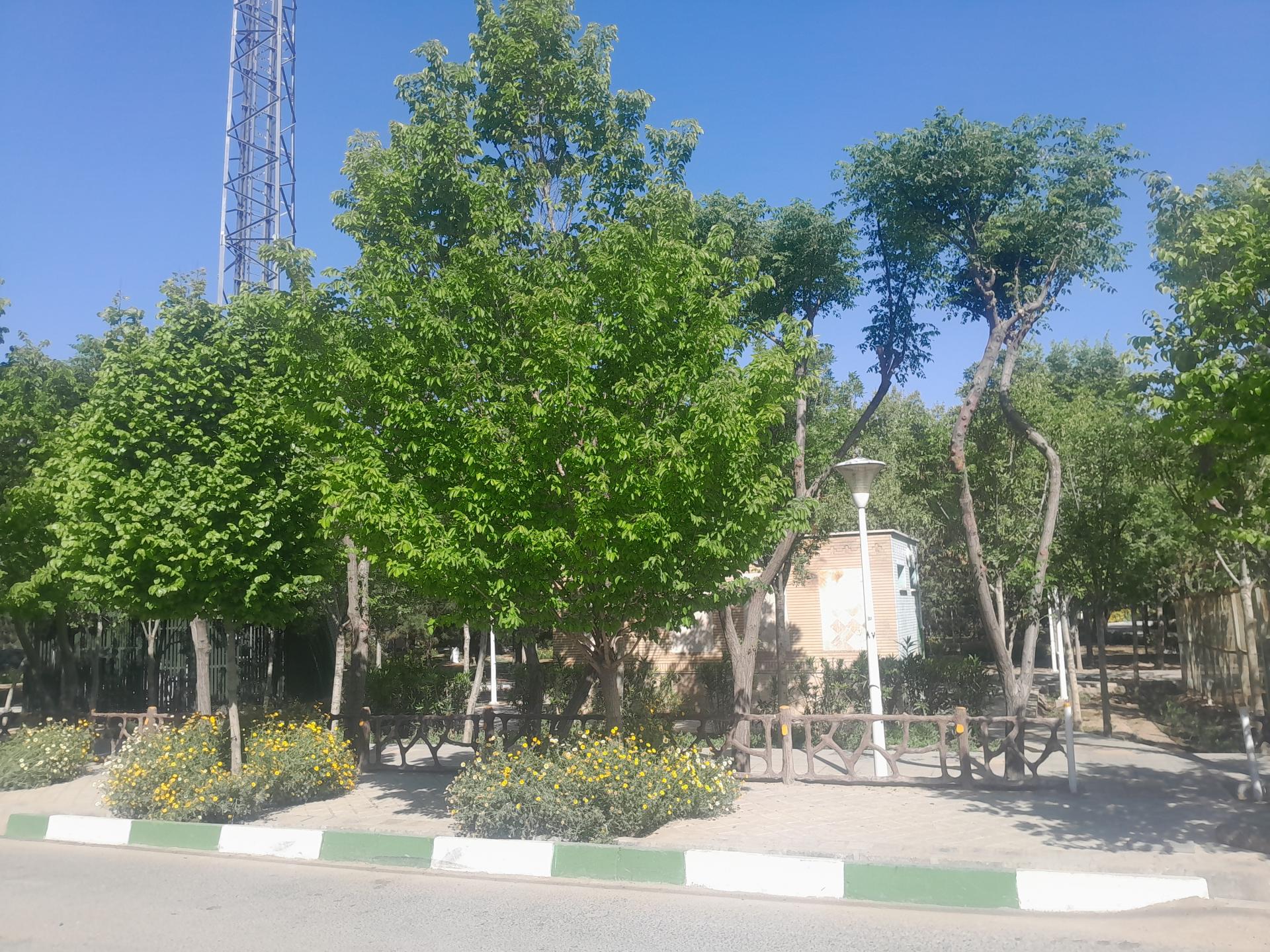 عکس پارک استاد شهریار