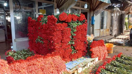 عکس بازار گل امام رضا