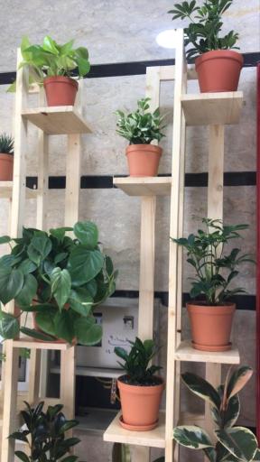 عکس فروشگاه لوازم کشاورزی و گل و گیاه اطلسی ها