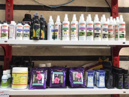 عکس فروشگاه لوازم کشاورزی و گل و گیاه اطلسی ها