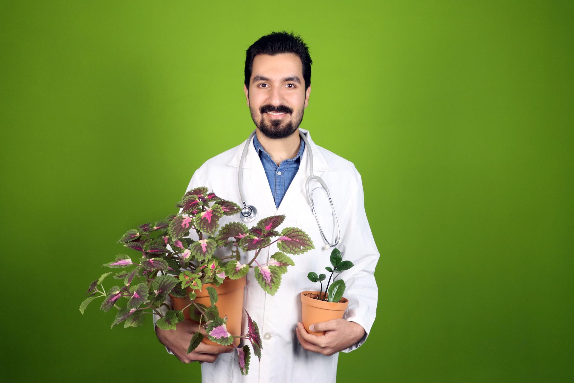 عکس فروشگاه لوازم کشاورزی و گل و گیاه اطلسی ها