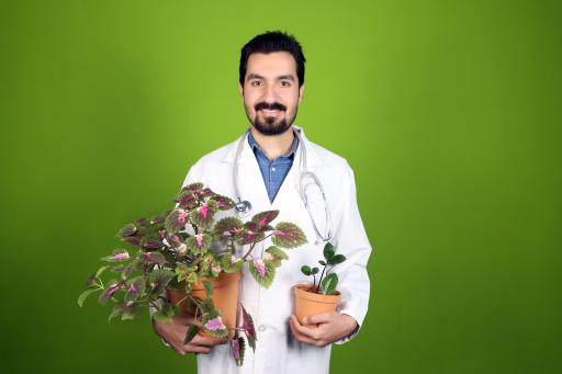 عکس فروشگاه لوازم کشاورزی و گل و گیاه اطلسی ها