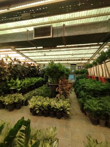 عکس بازار گل امام رضا