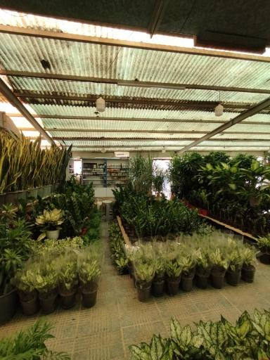 عکس بازار گل امام رضا