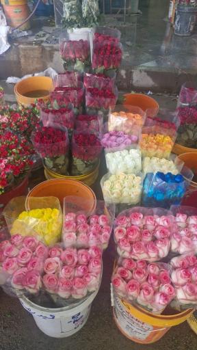 عکس بازار گل امام رضا