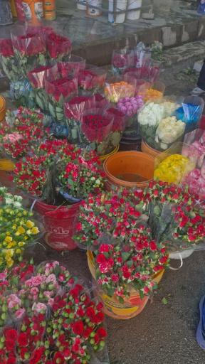 عکس بازار گل امام رضا