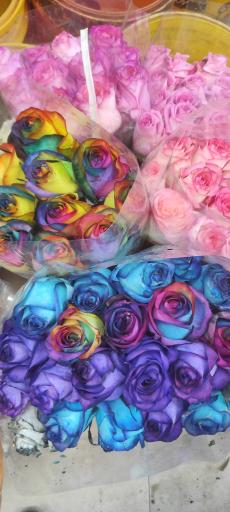 عکس بازار گل امام رضا