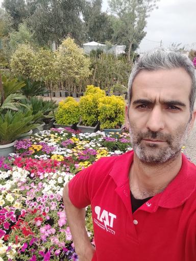 عکس بازار گل امام رضا