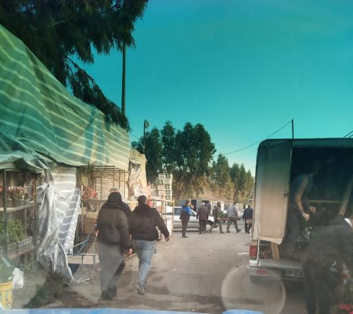 عکس بازار گل امام رضا