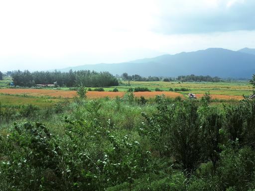 عکس مشاوران املاک آریانی