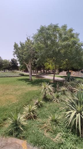 عکس پارک کریمی