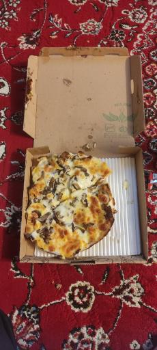 عکس دنیای کتلت عابدی