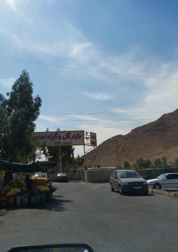 عکس بازار گل امام رضا