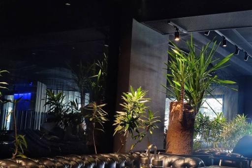 عکس کافه رستوران مورالانژ