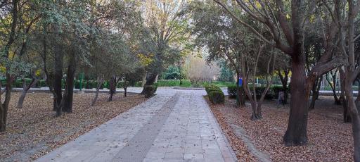 عکس بوستان زیتون