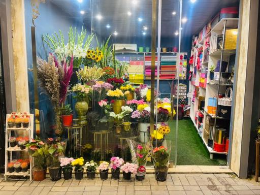 عکس گلوریا دیزاین