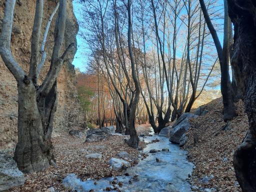 عکس تنگ گنجه ای