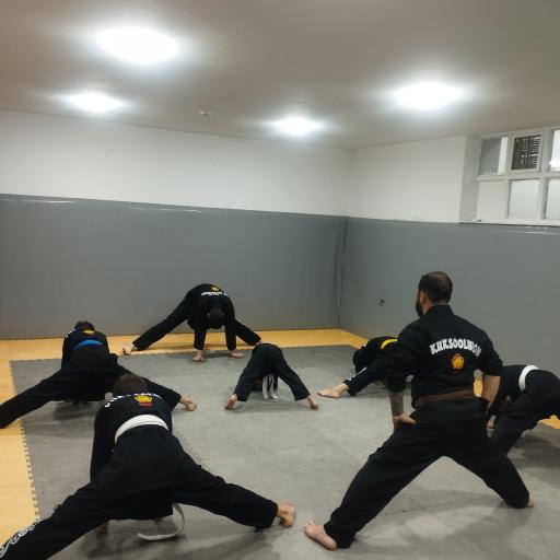 عکس آکادمی دفاع شخصی (کوک سول وان) استاد چاوشی