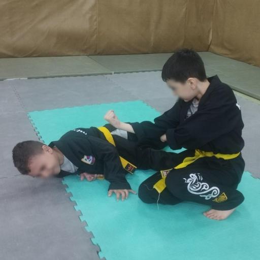 عکس آکادمی دفاع شخصی (کوک سول وان) استاد چاوشی