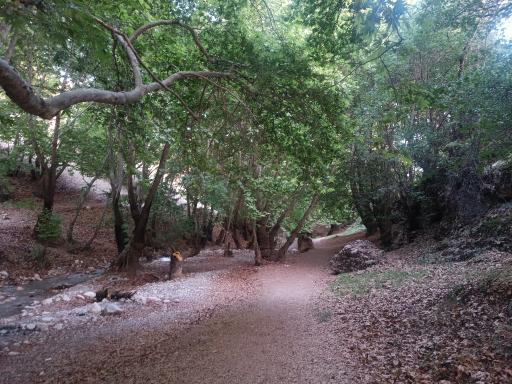 عکس تنگ گنجه ای