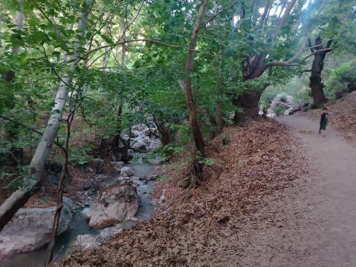 عکس تنگ گنجه ای