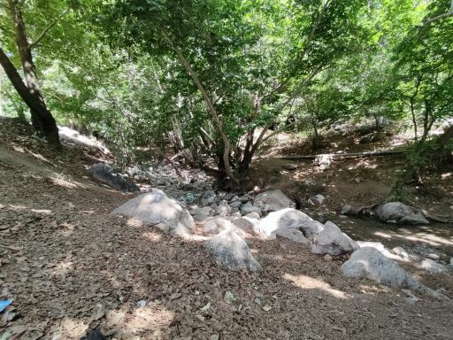 عکس تنگ گنجه ای