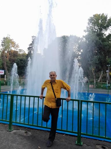 عکس بوستان زیتون