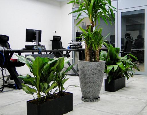 عکس فرآيندکاران شيميایی پارس (مگاچم)