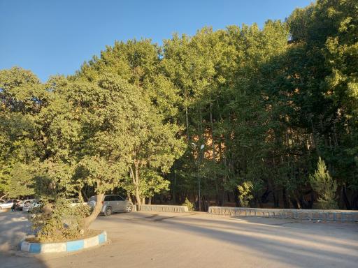 عکس تنگ گنجه ای