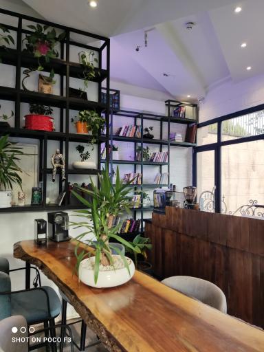 عکس کافه رستوران لوی لانژ