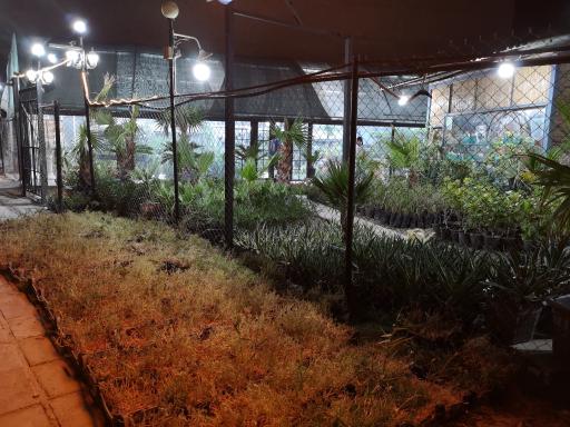 عکس گلباغ کیانپارس