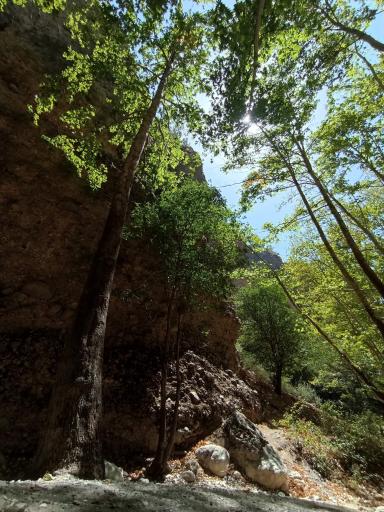 عکس تنگ گنجه ای