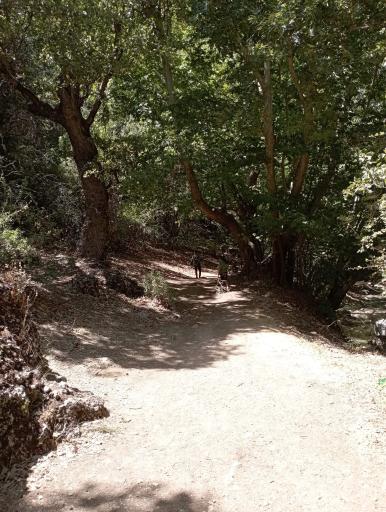 عکس تنگ گنجه ای