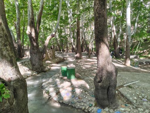 عکس تنگ گنجه ای