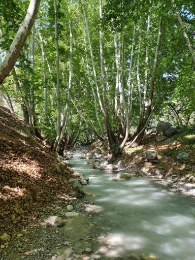 عکس تنگ گنجه ای