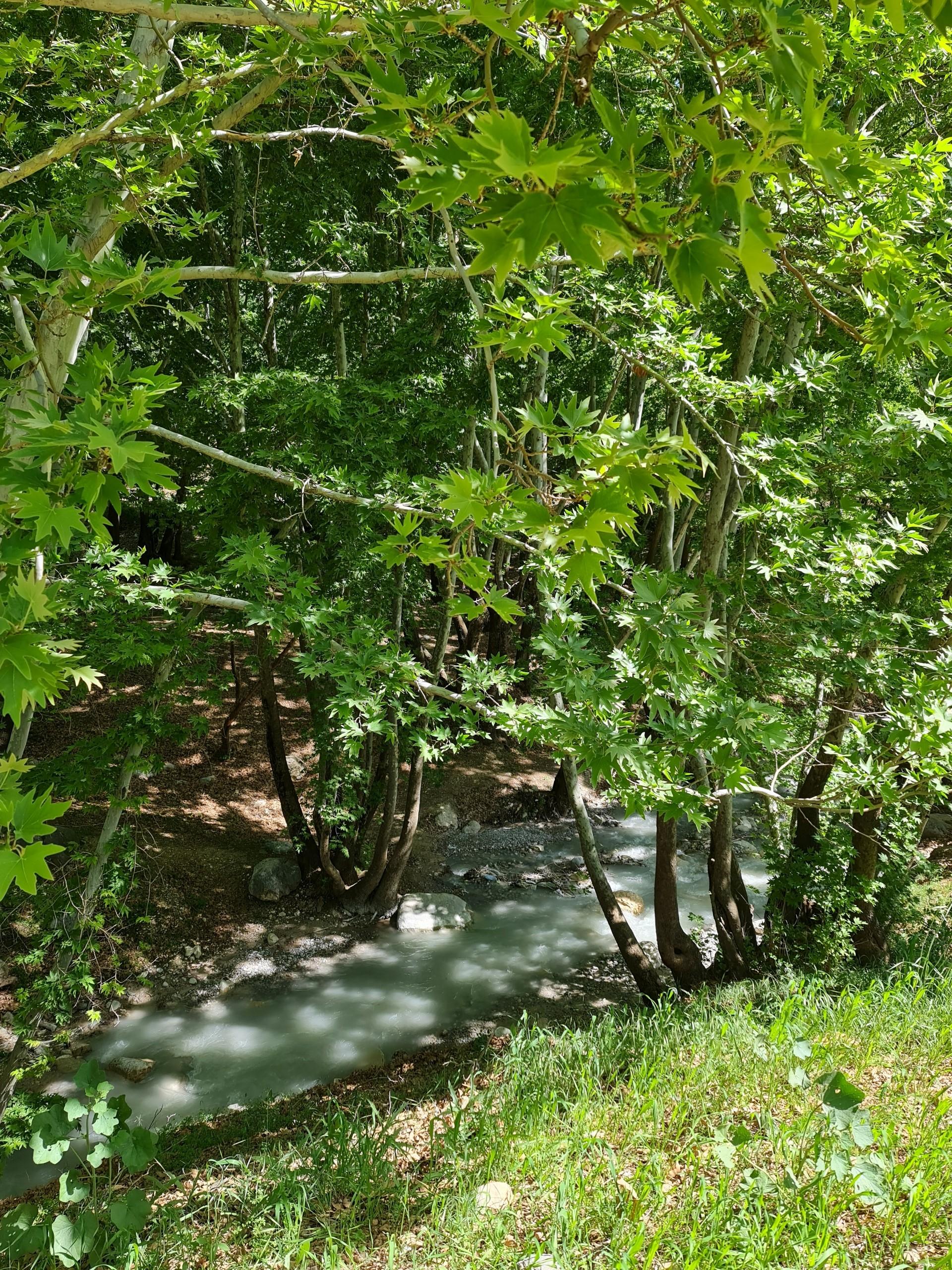 عکس تنگ گنجه ای
